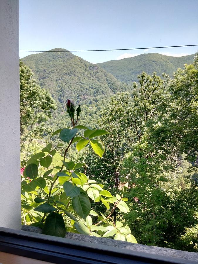 Rustico "Casa Di Sasso" Villa Intragna Kültér fotó